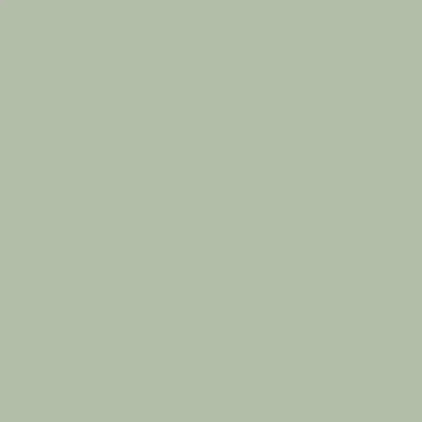 Vintage Prestige 500ml RIO VERDE RENNER Rio Verde Renner