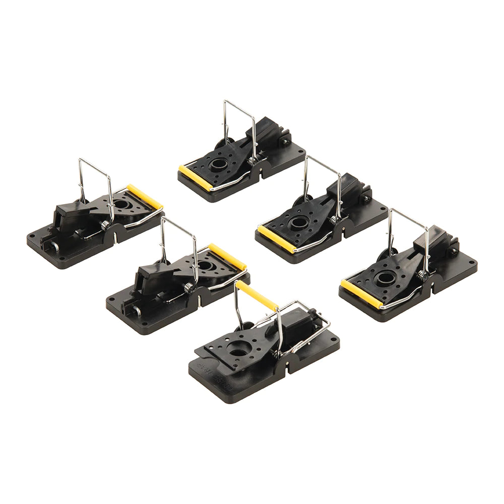 Set di trappole per topi 6 p.zi sistema igienico in plastica e acciaio inox fixman Fixman